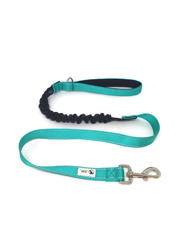 Bungee Dog Lead Nylon w/Reflective Stitching - Moondidley Pets Turquoise