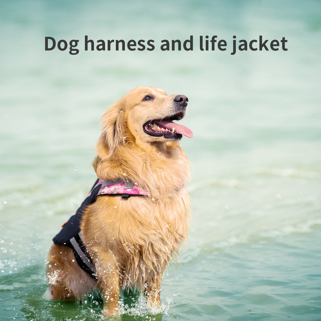 Ondoing Dog Life Jacket Lifesaver Pet Safety Vest Swimming Boating Float Aid Buoyancy